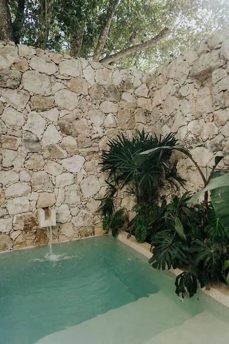 Design Casa Azhar With Private Pool Apartment Tulum